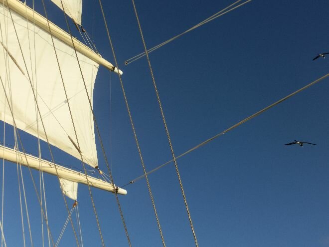 Tag 6 der Kreuzfahrt mit der Star Clipper durch die Karibik _ 14